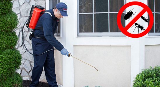Selçuklu Kemirgen İlaçlama böcek ilaçlama ve haşere kontrolü — ilaclama-tr.com